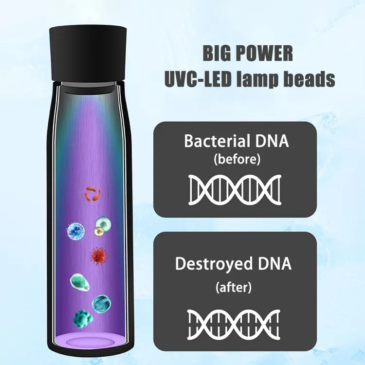 Aquyn UV Light Water Bottle