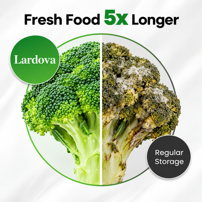 Lardova Handheld Vacuum Sealer