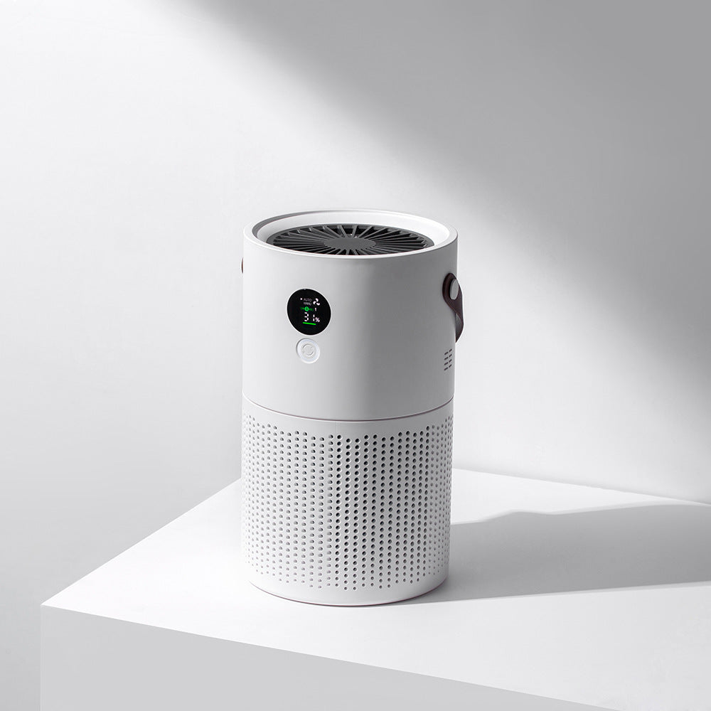 Punera Portable Air Purifier HEPA Filter