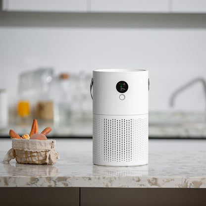 Punera Portable Air Purifier HEPA Filter