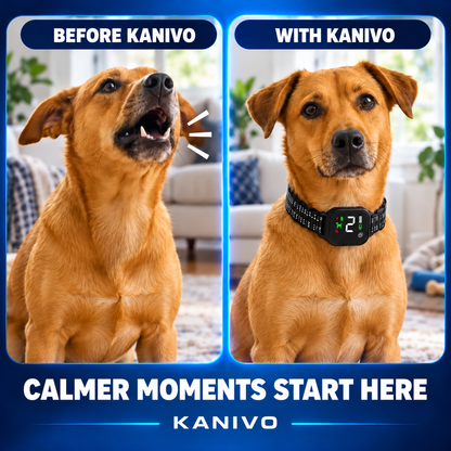 Kanivo Smart Dog Bark Collar