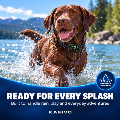 Kanivo Smart Dog Bark Collar
