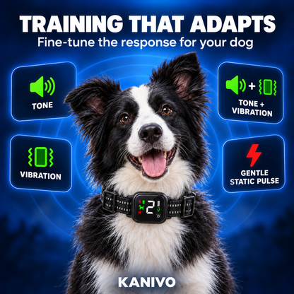 Kanivo Smart Dog Bark Collar